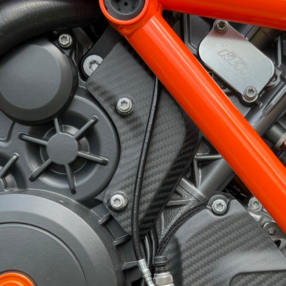 Plug cover carbon
