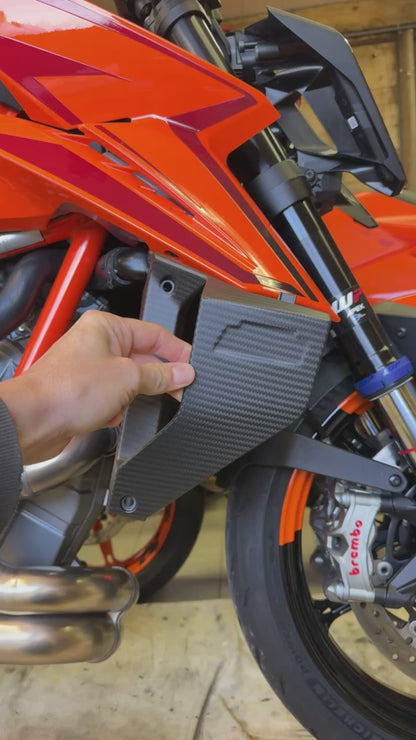 Winglets carbon